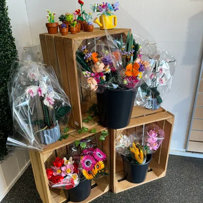 Florist 4 1200X1200