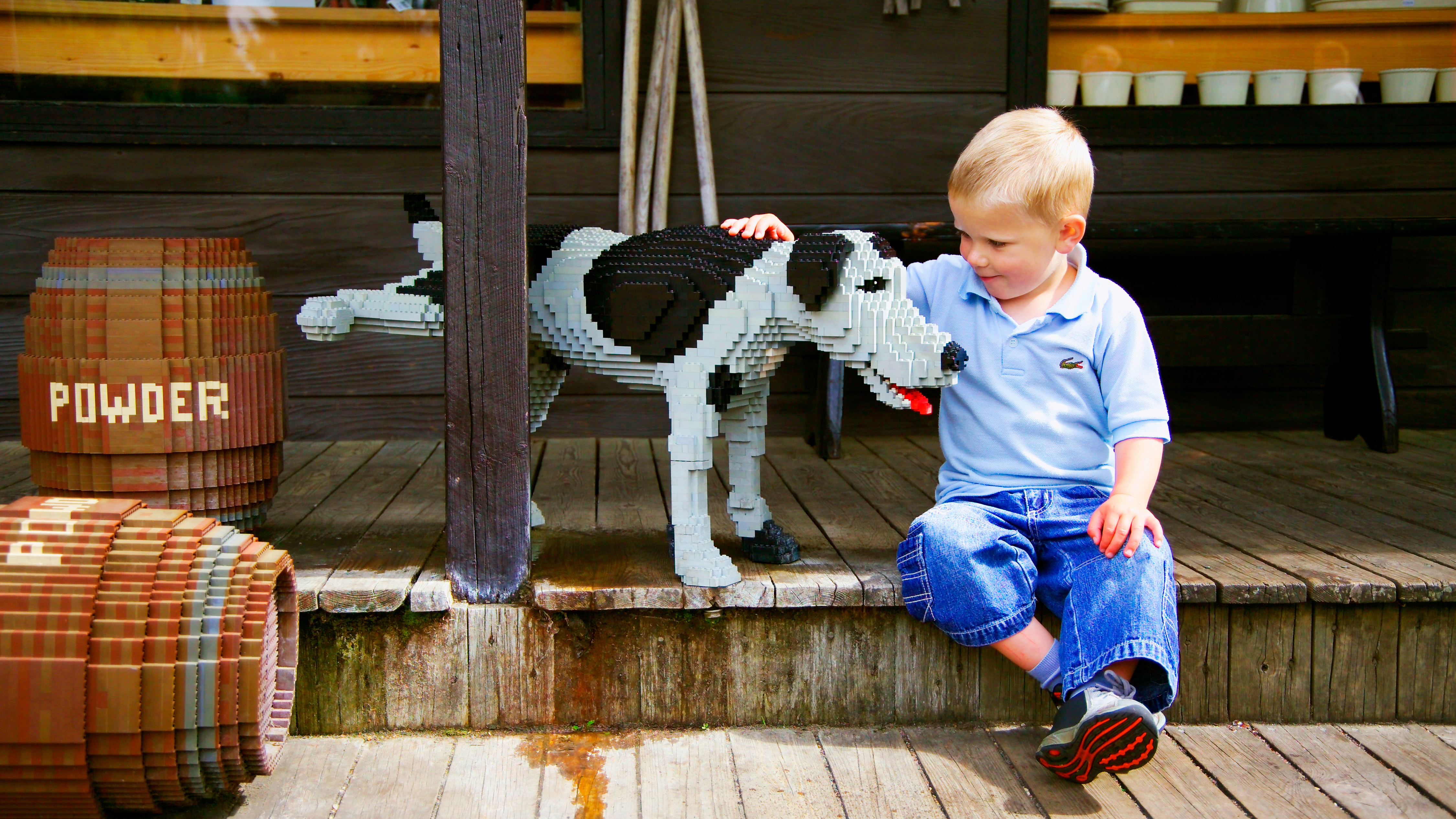 Dreng Og LEGO Hund Web