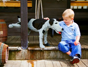 Dreng Og LEGO Hund Web