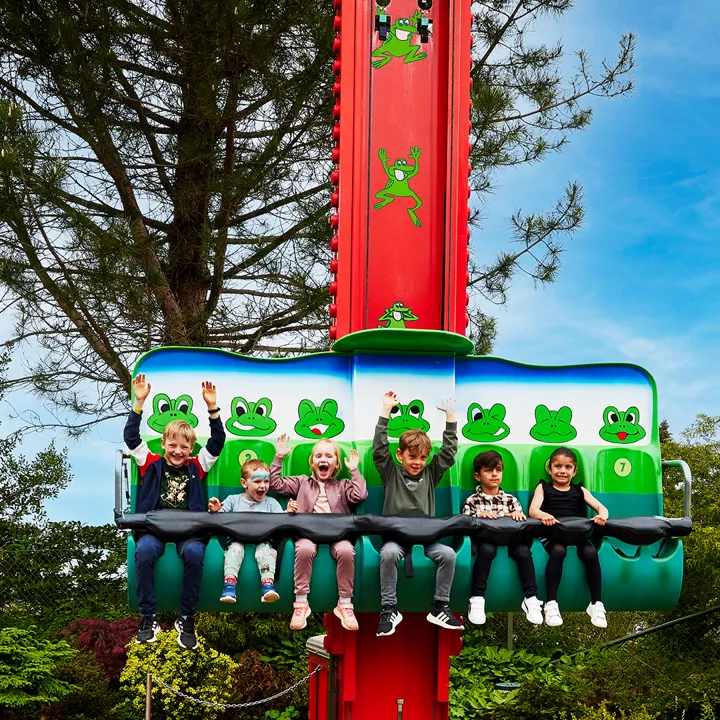 LEGOLAND Froghopper