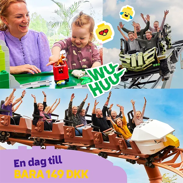 2 Day Ticket Swedish 600X600
