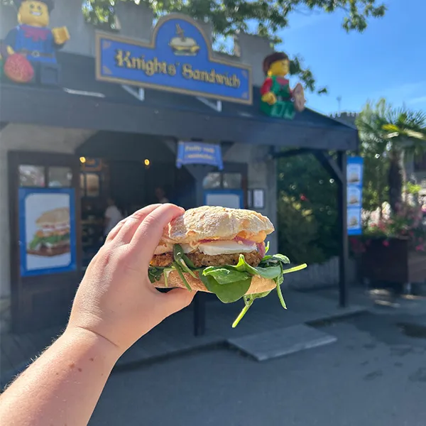 600X600 Sandwitch