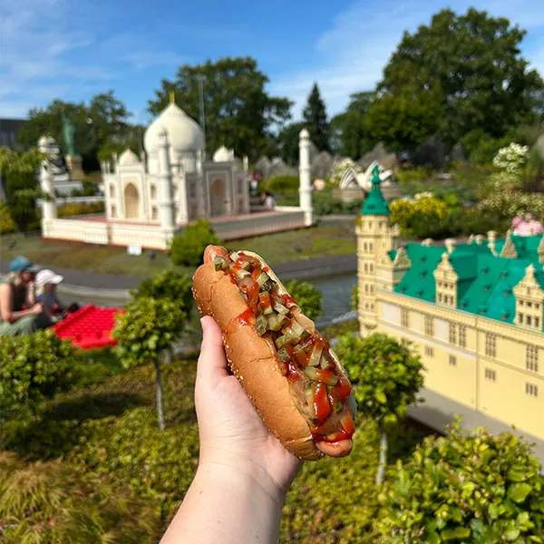 600X600 Hotdog