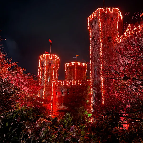 Ride In The Dark Dragon Castle 600X600