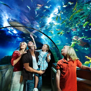 Atlantis 600X600