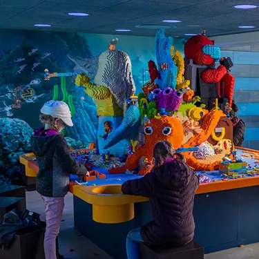Reef 500X500