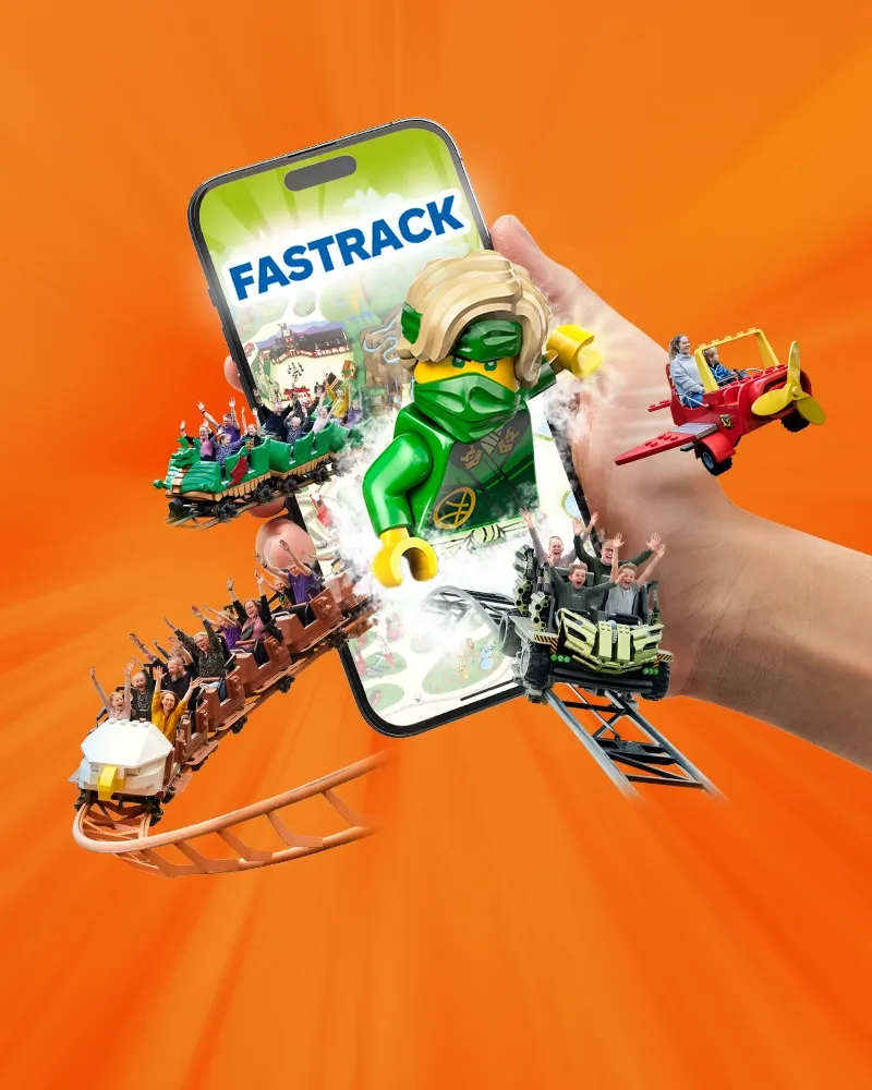 Fastrack Lloyd 800X1000