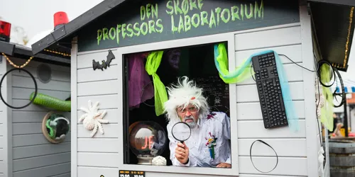 Den Skøre Professor 3