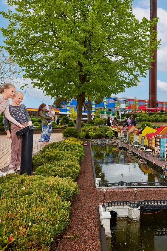 Explore the park